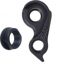 D962 Derailleur hanger