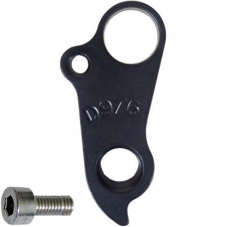 D976 Derailleur hanger