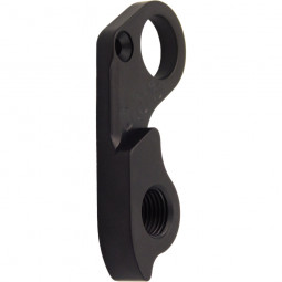 D1013 Derailleur hanger ROSE