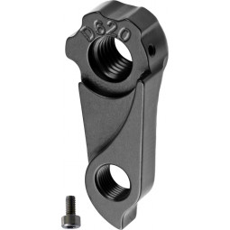 D620 derailleur hanger