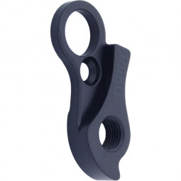 D968 Derailleur hanger