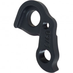 D973 derailleur hanger