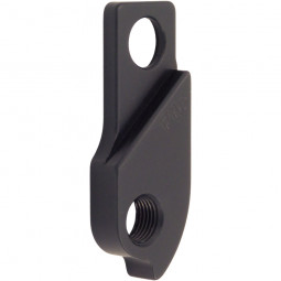 D984 Derailleur hanger