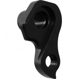 D670 derailleur hanger EVIL