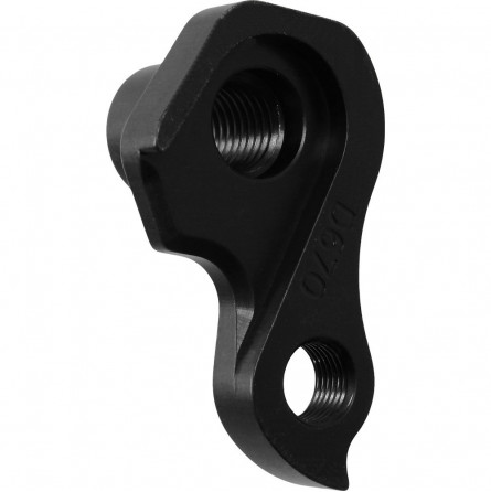 D670 derailleur hanger EVIL