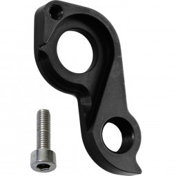 D672 derailleur hanger