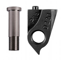 D220 derailleur hanger