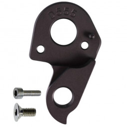 D555 derailleur hanger
