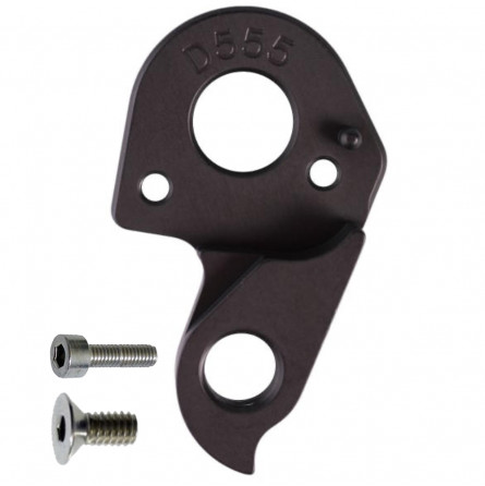 D555 derailleur hanger