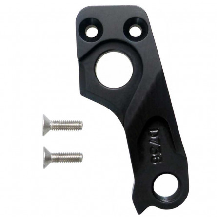 D736 derailleur hanger GIANT