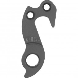 D1119 Derailleur hanger